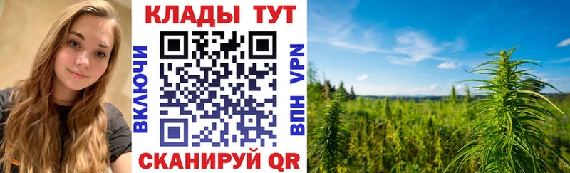 Виды наркотиков купить Городище Гашиш  СК  Амфетамин  Каннабис  Мефедрон 