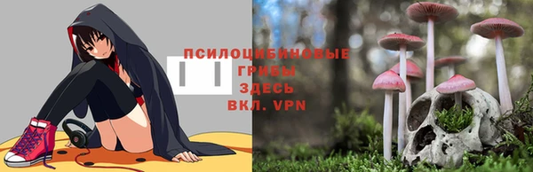дживик Надым