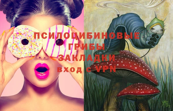 2c-b Балабаново