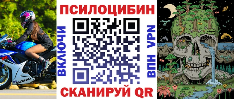 Псилоцибиновые грибы мицелий  где купить   Городище 